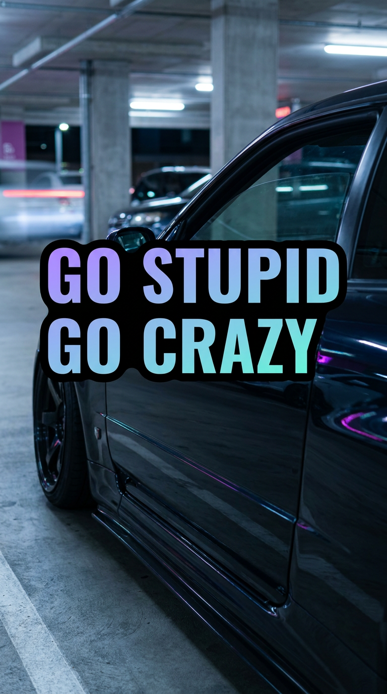 GO STUPID GO CRAZY